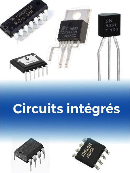 Circuits intégrés